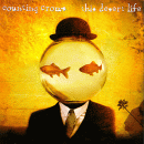 Counting Crows CD